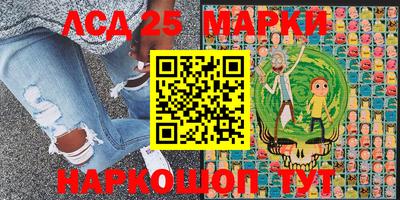 мдпв Будённовск