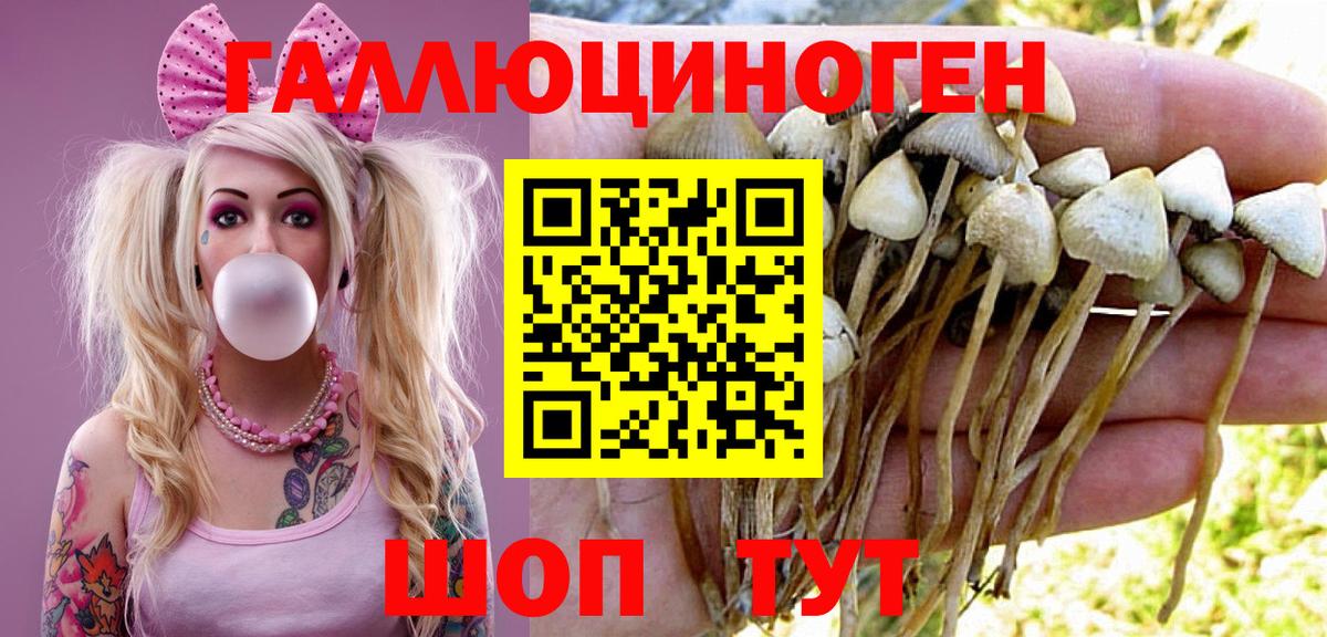 Псилоцибиновые грибы Magic Shrooms  Вход с VPN  Кудымкар  Галлюциногенные грибы Cubensis 